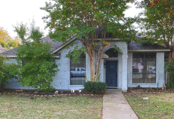 Spray-Net Dallas East White Brick Stain After